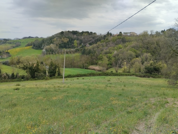 Terreno Codignoli_page-0001