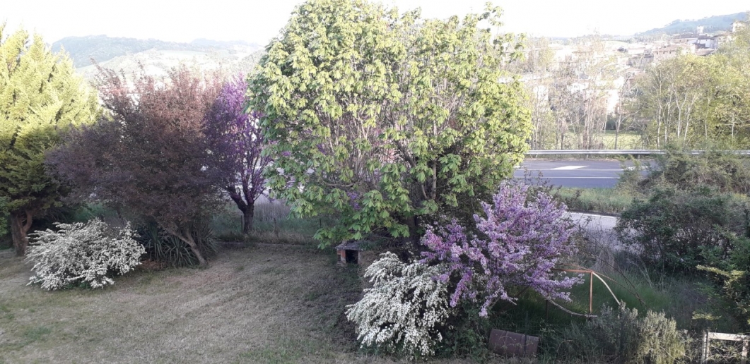 IMG-20240315-WA0003
