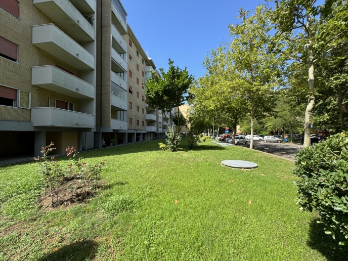 Pesaro - zona villa san martino - appartamento in vendita