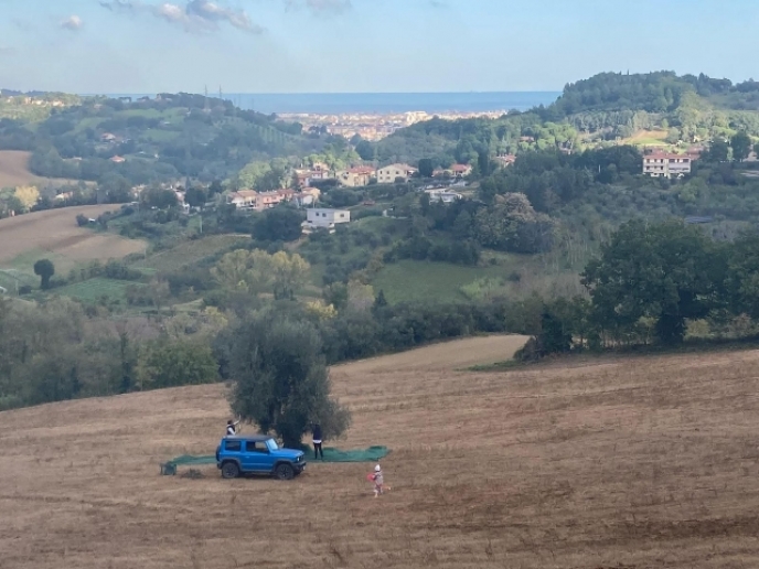 2. CHIESETTA facciata.JPG
