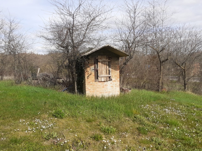 IMG-20240315-WA0003