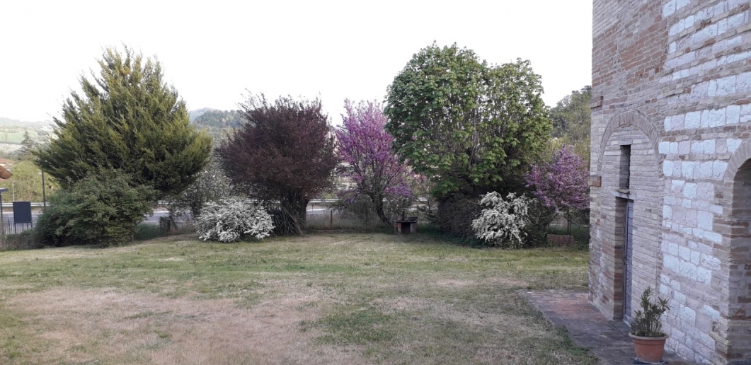 IMG-20240315-WA0003
