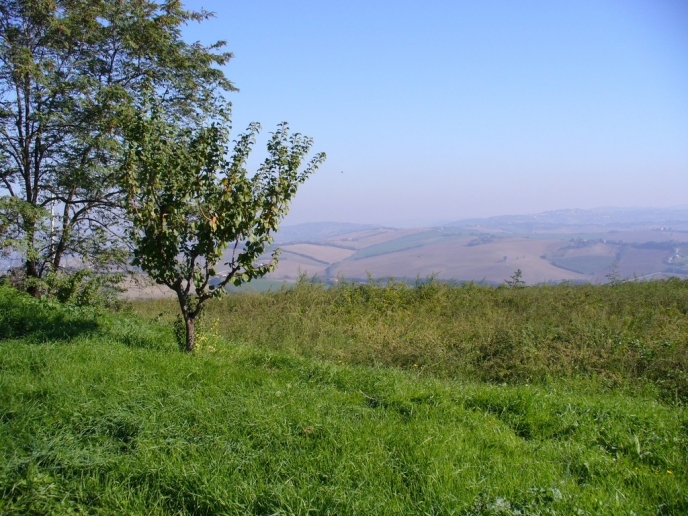 2. CHIESETTA facciata.JPG