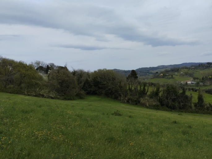 Terreno Codignoli_page-0001