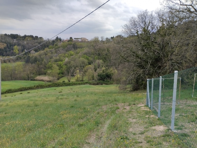 Terreno Codignoli_page-0001